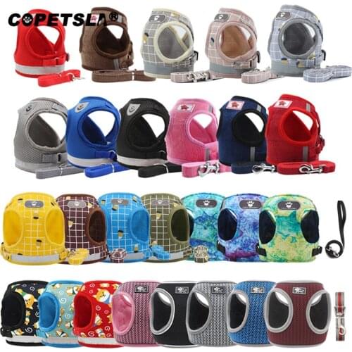 Dog Harness with Leash Summer Pet Adjustable Reflective Vest Walking Lead for Puppy Polyester Mesh Harness for Small Medium Dog
