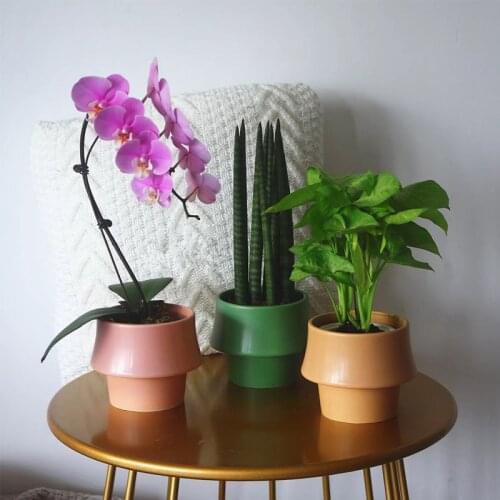 Creative Irregular Ceramic Flower Pots Round Succulents Cactus Potted Perforated Living Room Balcony Office Desktop Decoration