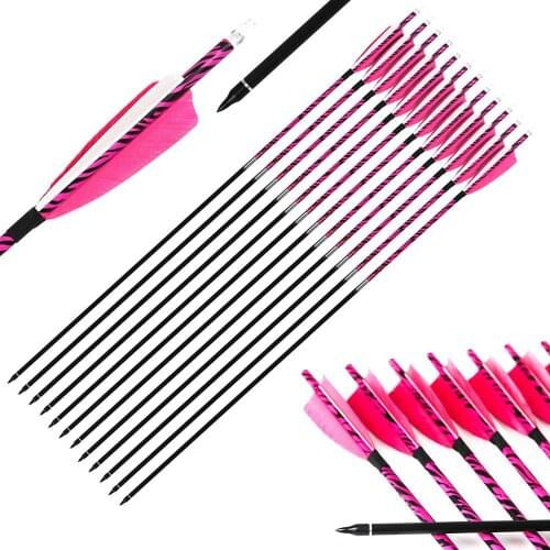 Pinals Archery Spine 300 340 400 500 600 Carbon Arrows Turkey Vanes Nock for Compound Recurve Bow Longbow Hunting Target 12PCS