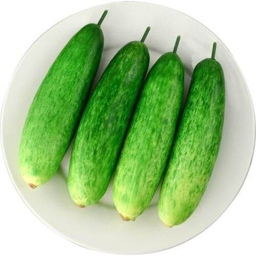 050 Fake cucumber Simulation of plastic fruit vegetables decoration props display models 20*5.2cm
