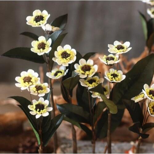 5pcs Dried Roseleaf Raspberry Flower For Wedding Party Home Hotel Decoration DIY Bouquet Project Accessory