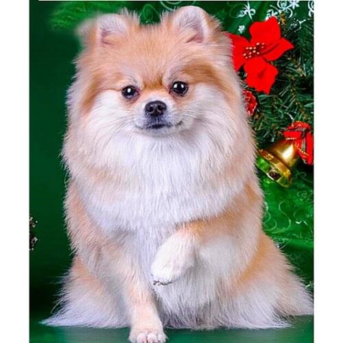 Diy,diamond embroidery,dog,5d diamond painting animals full diamond mosaic 3d pictures of rhinestones cross-stitch kits gifts