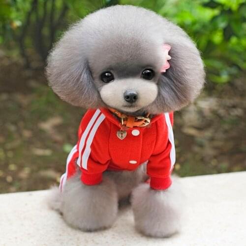 Overalls For Dogs Kevat Vesi China