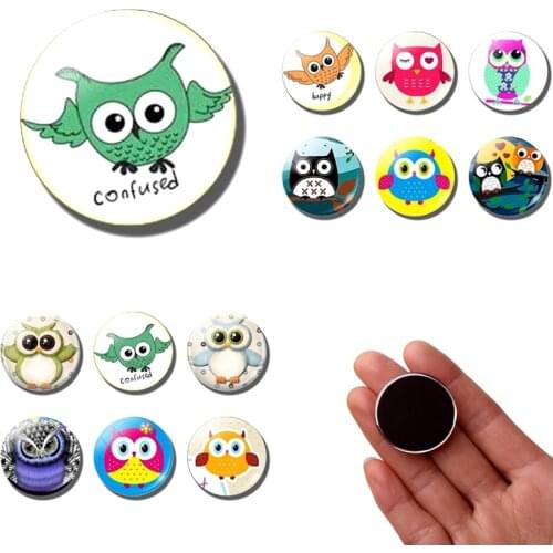 Cute Cartoon Owl bird fridge magnets for kids decor lovely animal 30MM refrigerator magnets Glass Cabochon message board Sticker