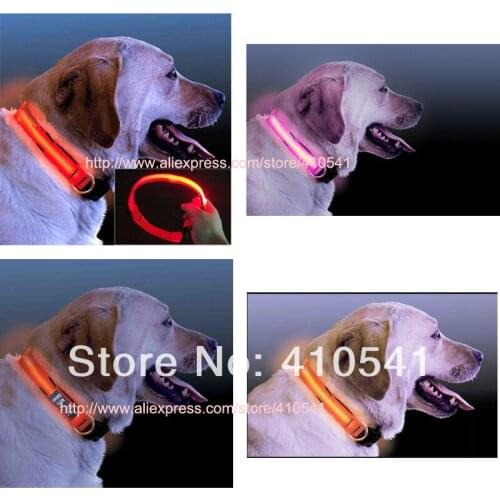 New Arrival Free Shipping Pet Product LED Nylon Chaplains LED Nylon Pet Dog Collar Night Safety Collar LED Light-up Pet Collar