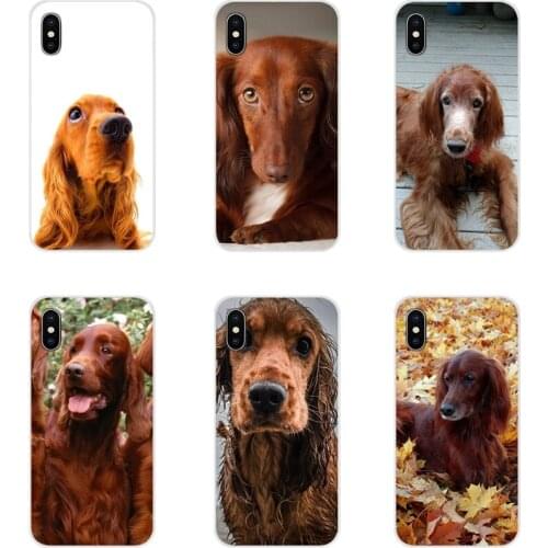 Cute Irish Setter dog puppy pets For Samsung A10 A30 A40 A50 A60 A70 Galaxy S2 Note 2 3 Grand Core Prime Mobile Phone Shell Case