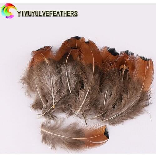 Natural Pheasant tail feathers indian feather headdress Turkey Feather Diy Clothing hat jewelry Campanula Decorative feathers