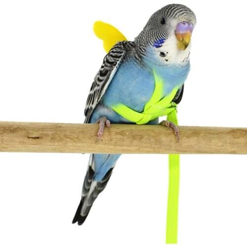 Parrot Harness and Leash, Outdoor Walk Rope Anti-bite Adjustable Training Rope for Budgerigar Lovebird Macaw Small Size Bird