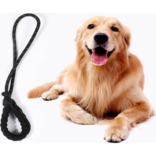 Dog Leash Nylon Reflective Convenient Running Rope Traction Rope Collar Adjustable Collar Small Medium And Large Pet Dog Collar