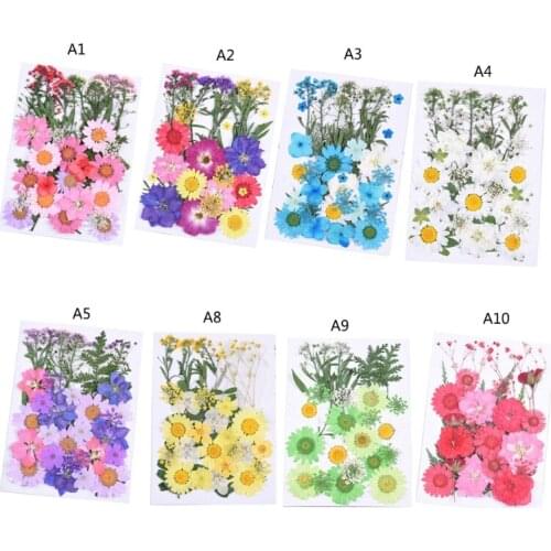 1 Set DIY Dried Flowers Resin Mold Fillings UV Expoxy Flower for Nail Art Pressed Flowers Decal for Handicraf