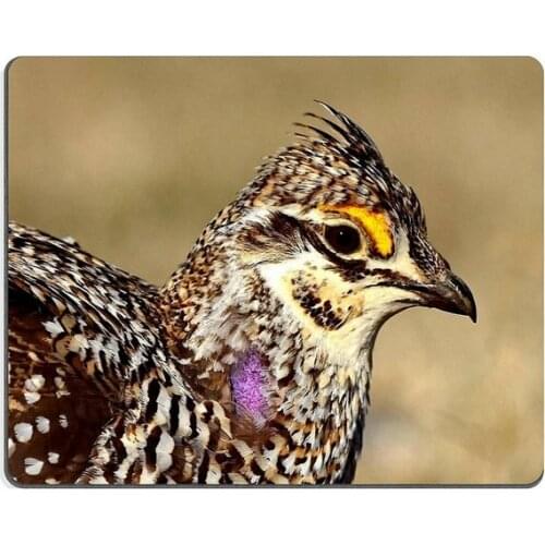 Mouse pad gaming mouse pad Spotted Jellyfish Swimming Natural Rubber Material