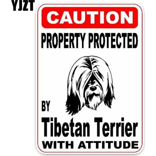 YJZT 10*14.2CM Property Protected By Tibetan Terrier Dog Creative Fashion PVC Material Car Sticker C1-4742