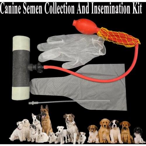 1SET Pet Canine Semen Collection Kit Collect Bag Gloves Disposable Sperm Artificial Insemination Tube Pipe Catheter Plastic