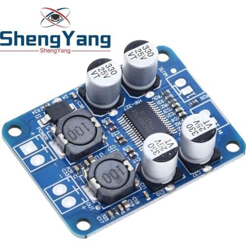 1PCS ShengYang DC 12V-24V TPA3118 60W Mono Digital Audio Power Amplifier Board Amp Module