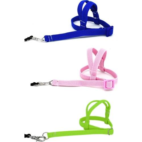 Pet Parrot Bird Harness Leash Flying Rope Straps Outdoor Training Traction Rope For Budgerigar Lovebird Cockatiel Small Superbly