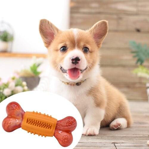 TPR Dog Bone Chewing Toy Molar Stick Double Bone Design Anti-Bite Cleaning Silicone Training Pet Supplies