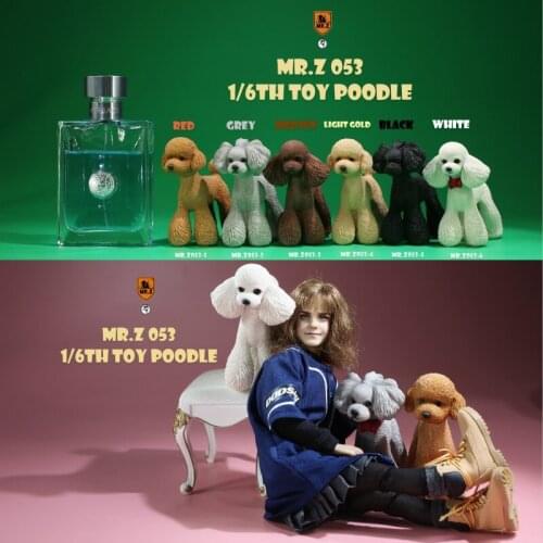 1/6 Scale MR.Z 053 Simulation Animal Standing Poodle Dog Model Home Ornaments Decoration Kids Toy Gift Collection Collectible