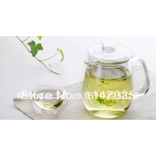 1PC new arrival Japanese Style heat resistant glass teapot Penguin teapot with liner 500ml G0014