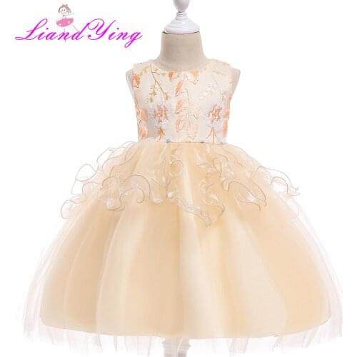 Kids Girls Flower Dress Baby Girl Leaf Embroidery Birthday Party Dresses Children Fancy Princess Ball Gown Wedding Clothes