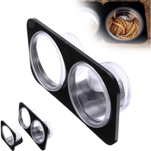 Plastic Reptile Feeder Single Double Grid Feeding Bowl Food Water Breeding Dispenser Feeding Dish Pot with Suction Cup