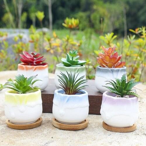 Cute Succulent Plant Flower Pot Mini Bonsai for Garden Home Table Decoration only pot