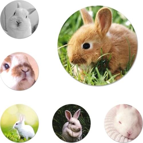 Cute White Baby Rabbits Icons Pins Badge Decoration Brooches Metal Badges For Clothes Backpack Decoration