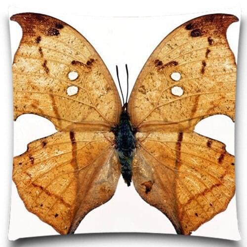 Fashion animals Kallima Inachus specimens Cushion Cover Sofa/car/chair Cotton polyester home decoration