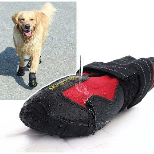 Pet's Spring Shoes For Dogs