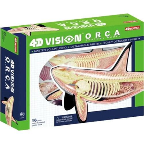 Animal biology whale organs anatomy 4D master puzzle assembly toys Medical models