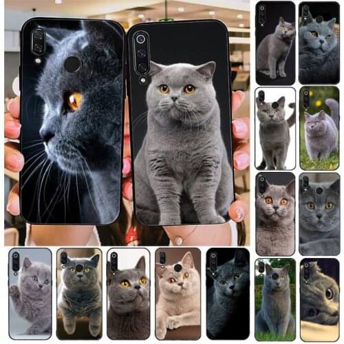 YNDFCNB British Shorthair cat Phone Case For Redmi note 8Pro 8T 6Pro 6A 9 Redmi 8 7 7A note 5 5A note 7 case