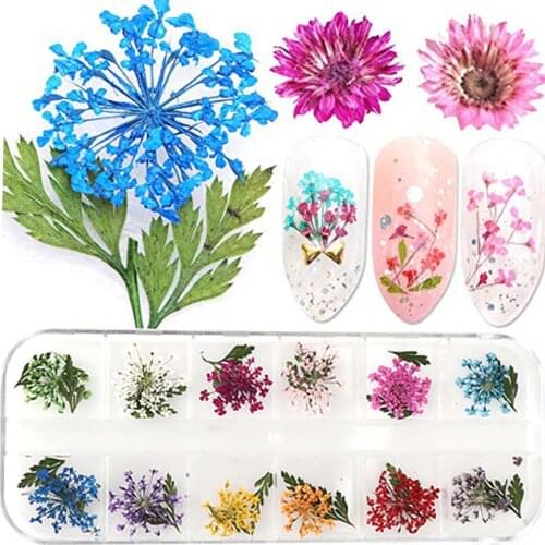 1 Box 24Pcs Nail Lace Dried Flowers Leaf Nail Art Decoration DIY Tips Small Flowers Nails Stickers For Manicure Tools