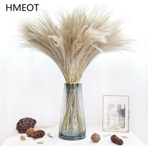 100pc Natural Dried Flower Pampas Grass Reed Christmas Home Decoration Wedding Bouquet FlowerArrangement Phragmites Grass Plants