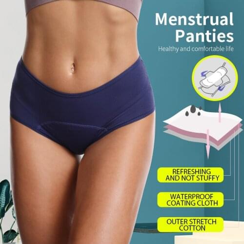 Plus Size 2pcs Leak Proof Menstrual Period Panties Women Underwear Physiological PantsFour-Layer Organic Widen Fiber High Waist