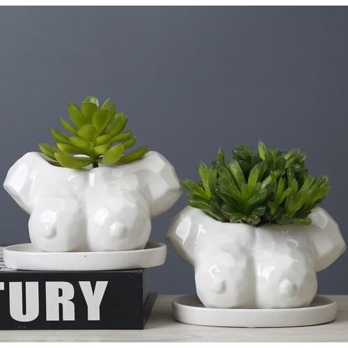 Nordic Ceramics Woman Body Flower Pot Balcony Cactus Succulents Plants Bonsai Pot Crafts Miniature Garden Decoration Accessories