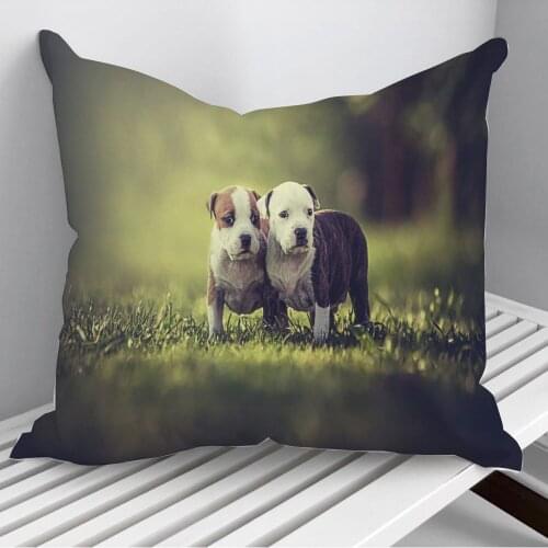 American Pit Bull Terrier Throw Pillows Cushion Cover On Sofa Home Decor 45*45cm 40*40cm Gift Pillowcase Cojines Dropshipping