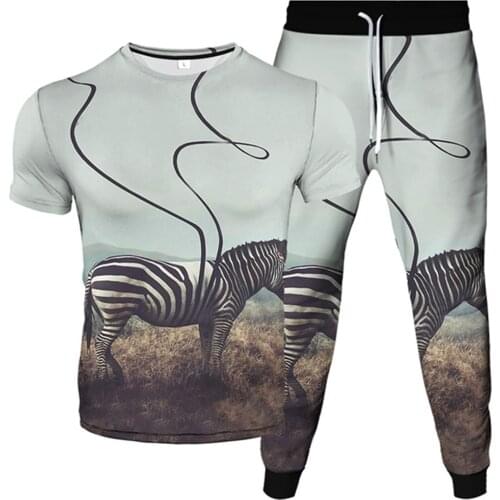 Men Women New Fashion Tracksuit Animal Zebra Stripe 3D Print Male Clothes Female Cool T-Shirt Trousers 2pcs Sets Plus Size S-6XL