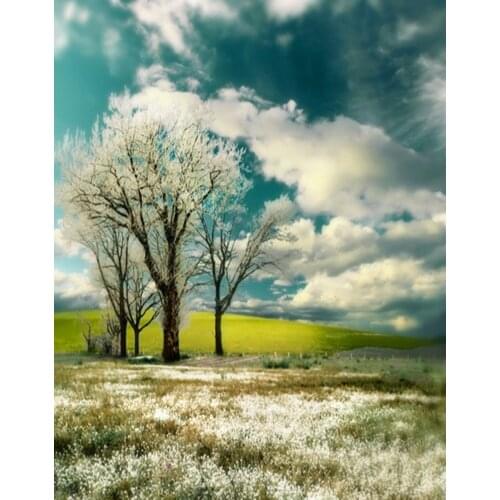 5x7ft Cloud Tree Grass Photography Backdrops Photo Props Studio Background