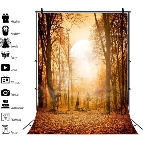 Yeele Photocall Autumn Scene Backdrop Golden Forest Mist Photography Baby Portrait Background For Kids Photo Studio Photographic
