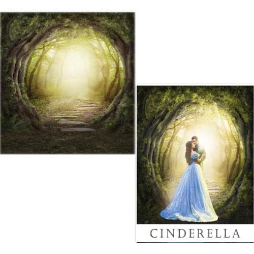 5*6.5ft Photography Backdrop Light Brick Road though Green Tree Background Newborn Photo Backdrop Background Studio Fotografia