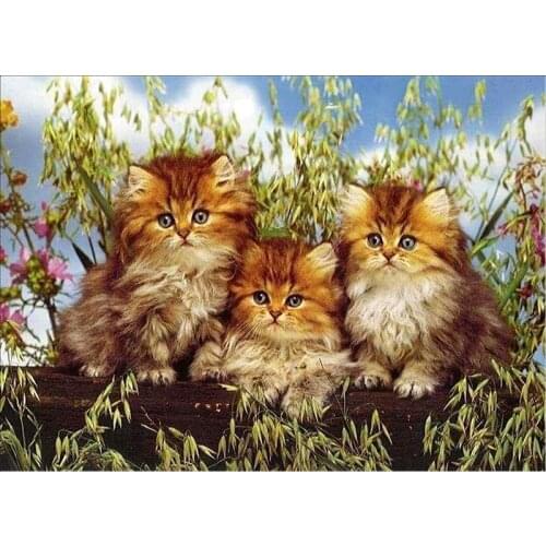 5D Diy Diamond Painting Three Cats Cross Stitch Round Diamond Mosaic Craft Full Diamond Embroidery Needlework Home Paintings