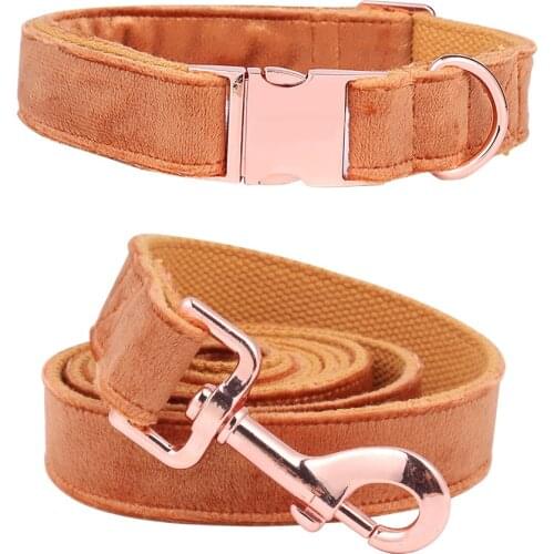 Unique style paws Collars