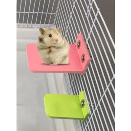 Small Pet Hamster Platform Bracket Rack Toy Colorful Ecological Board Supplies Round Squirrel Cage Guinea Pig Accessories