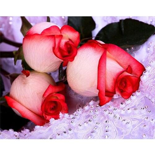 Pink rose diamond Embroidery diy diamond painting mosaic diamant painting 3d cross stitch pictures H458