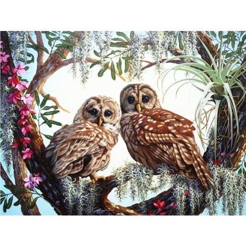 Canvas Size 5D DIY Diamond Painting Owls Needlework Full Square Resin Diamond Painting Embroidery Mosaic Cross Stitch Handicraft