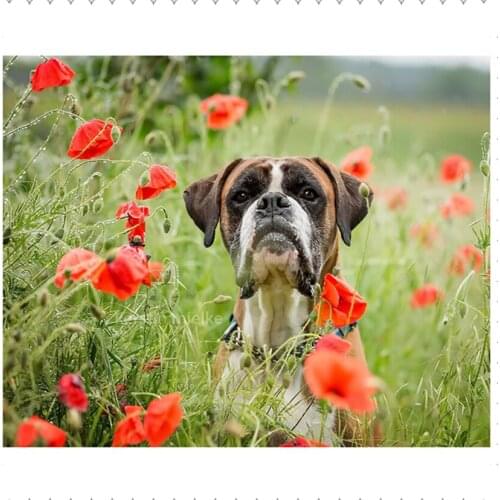 Diamond Embroidery 5D DIY Diamond Painting Red poppy flower dog Diamond Mosaic Rhinestone Cross Stitch Decoration NEW029