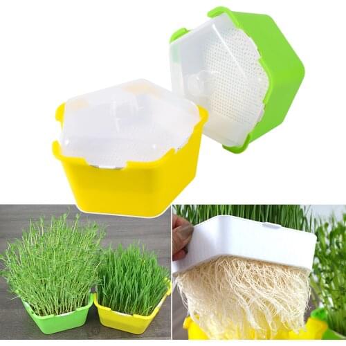 Bean Sprouts Growing Tray Seed Seedling Starter Dish Greenhouse Hydroponics Plant Cat Grass Germination Nursery Pot Grow Box