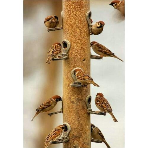 5d diamond painting bird cross stitch sparrow full square / round animal rhinestone 3d diamond mosaic diamond embroidery