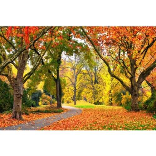 Autumn Garden Fallen Leaves Tree Landscape Photography Backgrounds Vinyl Portrait Photographic Backdrops For Home Photo Studio