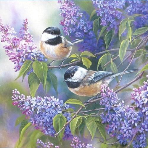 Full Diamond Embroidery Birds 5D DIY Diamond Painting Animals Bird Cross Stitch Kits Mosaic Picture with Rhinestones Home Decor