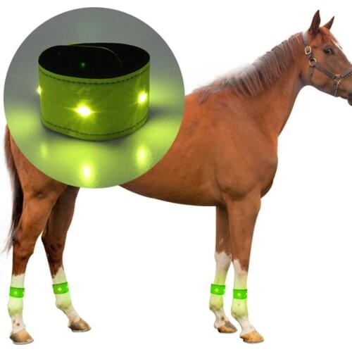 Reflective Safety Leg Belt LED Horse Leg Strap Night Cycling Walking Running